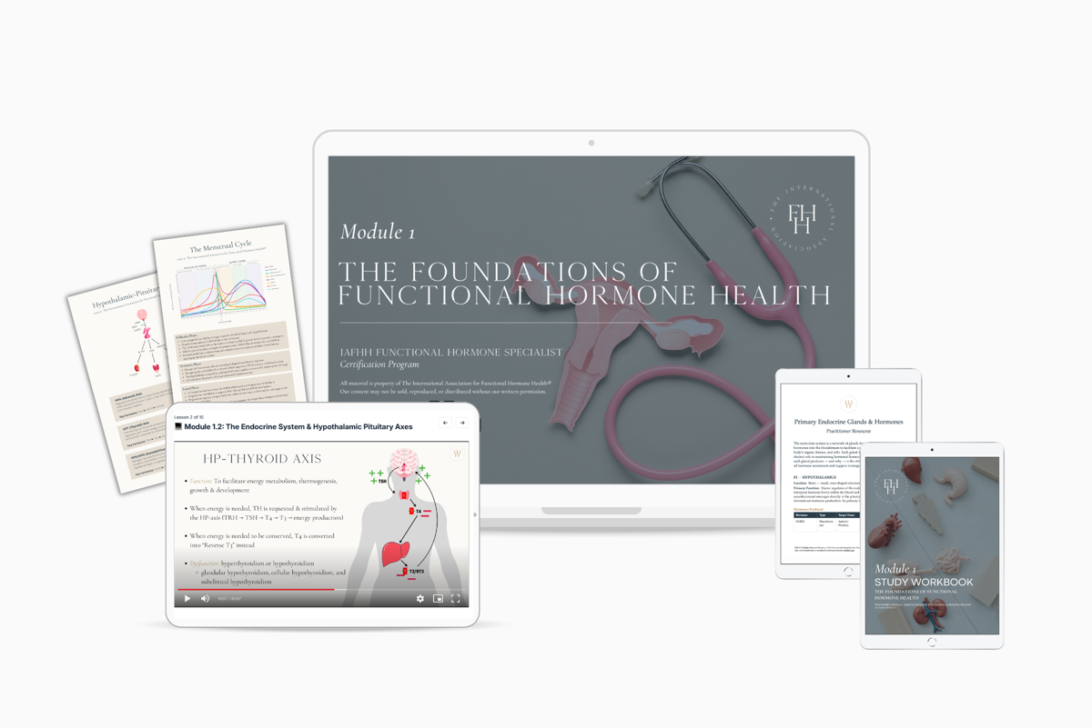 The Foundations of Functional Hormone Health — Module 1 course materials